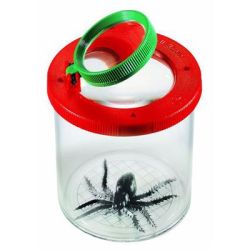 Klassisk insektglas