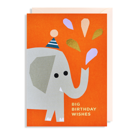 Big Birthday Wishes - Kort & kuvert - Lagom