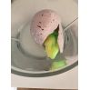 Gro din egen dinosaur - Æg