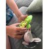 Gro din egen dinosaur - Æg