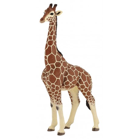 Giraf han - Figur - Papo