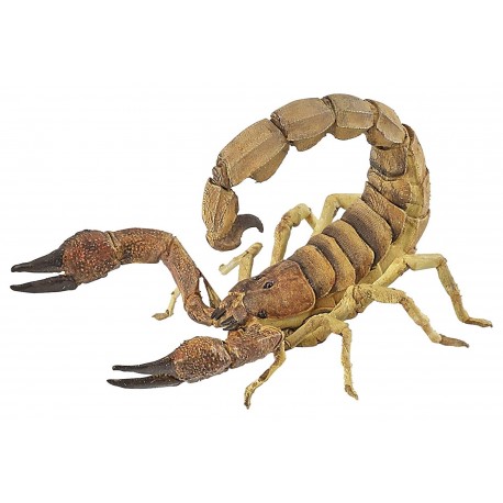 Skorpion - Figur - Papo