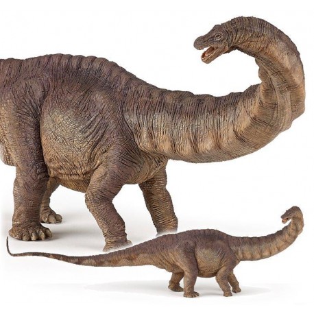 Apatosaurus dinosaur - Figur - Papo