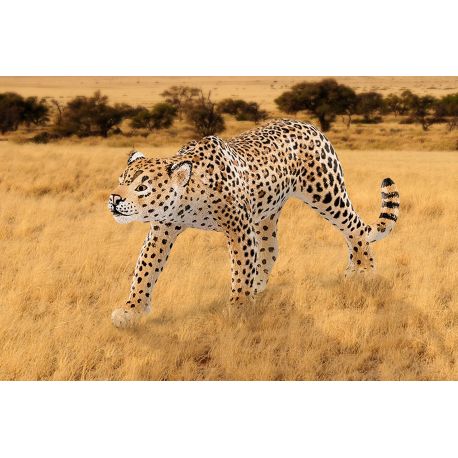 Leopard - Figur - Schleich