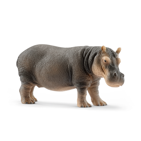 Flodhest - Figur - Schleich