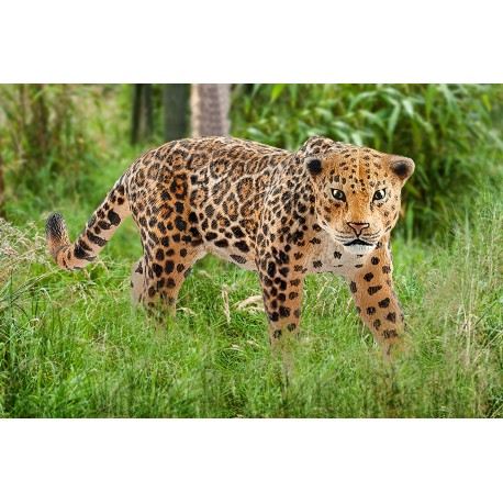 Jaguar - Figur - Schleich