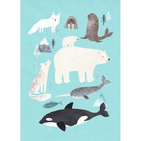 Artic Animals - Plakat - Petit Monkey