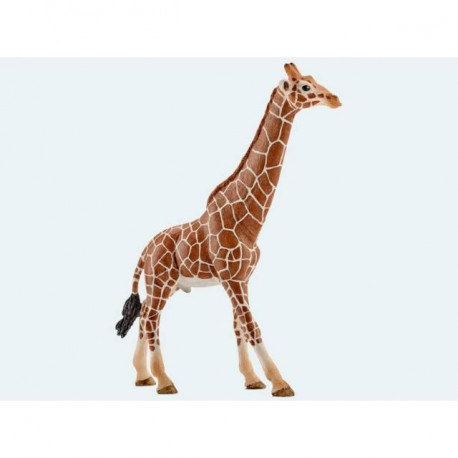 Giraf han - Figur - Schleich