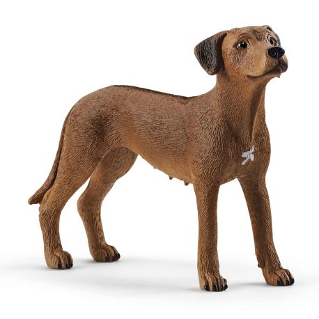 Rhodesian Ridgeback hund - Figur - Schleich