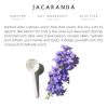 Jacarandá blomst håndcreme 50 ml - Benamôr