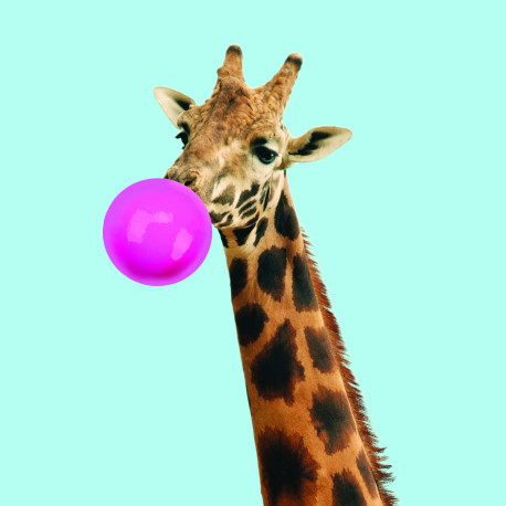 Giraf med bubblegum - Kort & kuvert - The Art Group