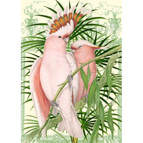 Vintage pink papegøjer - Kort & kuvert