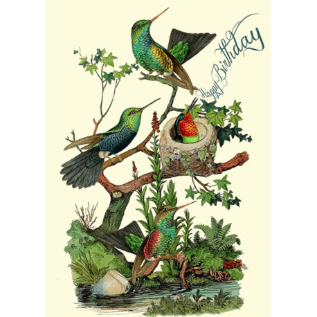 Vintage colibrier - Fødselsdagskort & kuvert