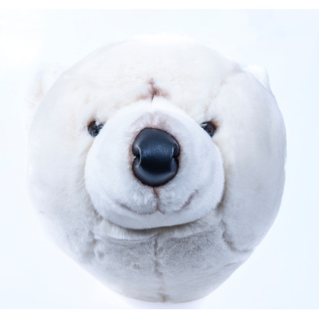 Isbjørn trofæ til væggen - Brigbys