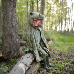 T-Rex kappe - Udklædning (4-6 år) - Great Pretenders
