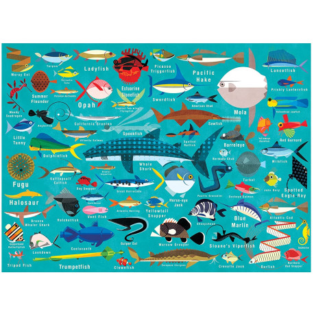 Ocean Life - Puslespil 1000 brikker - Mudpuppy