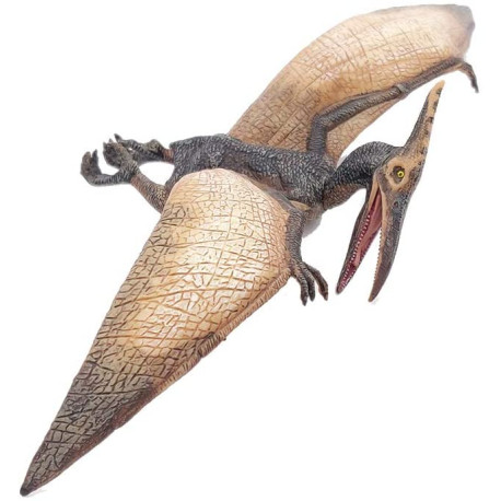 Pteranodon - Dinosaur figur - Papo