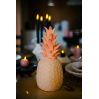 Blush pink Ananas - Inde & udendørslampe - Goodnight Light