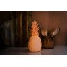 Blush pink Ananas - Inde & udendørslampe - Goodnight Light