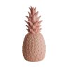 Blush pink Ananas - Inde & udendørslampe - Goodnight Light