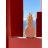 Blush pink Ananas - Inde & udendørslampe - Goodnight Light