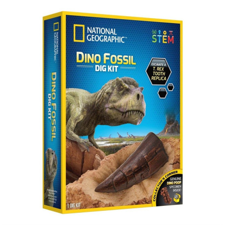 Grav efter dinosaurtænder - National Geographic