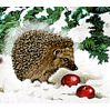 Juletogbane - Julekalender med glimmer (42x28cm)