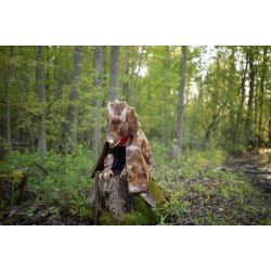 Triceratops kappe & kløer - Udklædning (7-8 år) - Great Pretenders