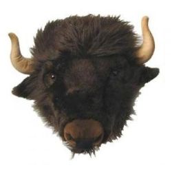 Bøffel trofæ til væg