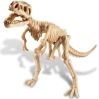 Tyrannosaurus Rex Skelet - KidzLabs