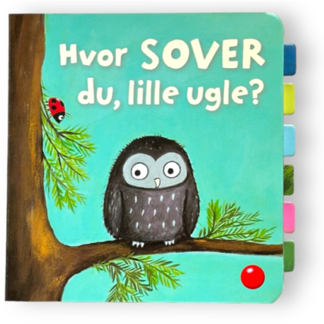 Hvor SOVER du, lille ugle? - Papbog med flapper