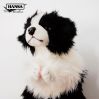 Border collie hund hånddukke