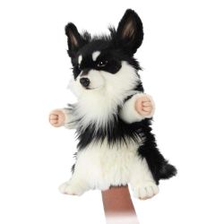 Chihuahua sort og hvid hånddukke