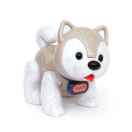 Husky hund - BIO First Friends
