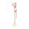 Strawberry kanin - Bashful flad putteklud 27 cm