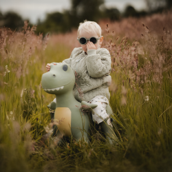 Dinosaur - Hoppedyr inkl. pumpe