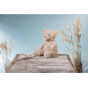 Honey Teddy bjørn - Stor bamse 48 cm