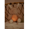 Kanin bamse med lys med beroligende lyde