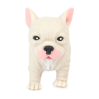 Squishy French Bulldog hund