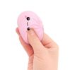Mini Lucky Bao Mystery Squishy Dumpling