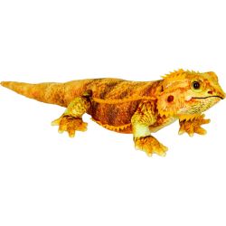 Skægagamer Australsk øgle - Bamse 45 cm