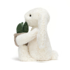 Hvid kanin med plante - Original Bashful bamse 31 cm