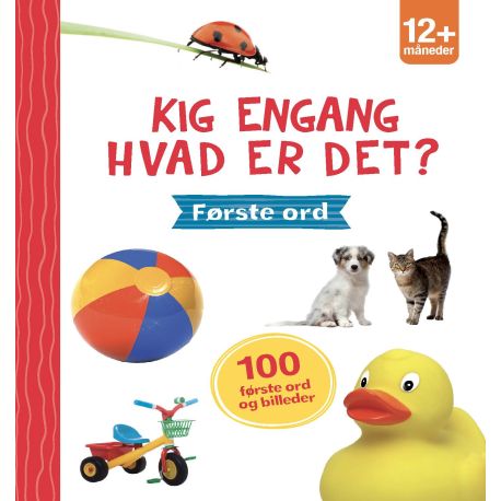 Hvad er det? Første ord - Pap billedordbog med håndtag