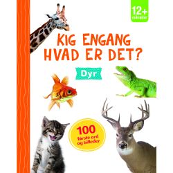 Hvad er det? Dyr - Pap billedordbog med håndtag