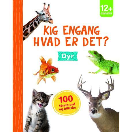 Hvad er det? Dyr - Pap billedordbog med håndtag