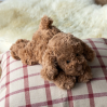 Chokolade-brun hund - 28 cm
