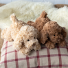 Chokolade-brun hund - 28 cm