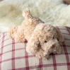 Guld-brun hund - 28 cm