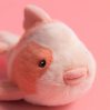 Kohaku Koi fisk - bamse 11 cm