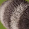 Trixiwoo Raccoon - Bamse 24 cm